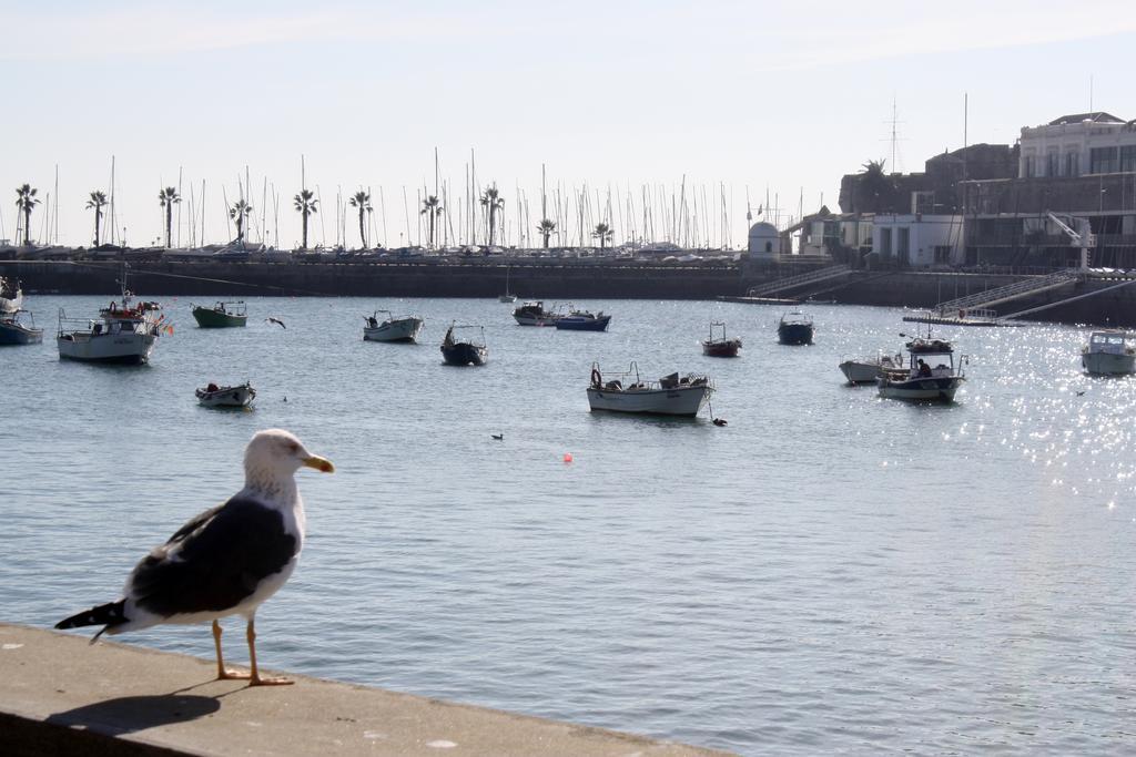 Charming Cascais Apt. Camera foto